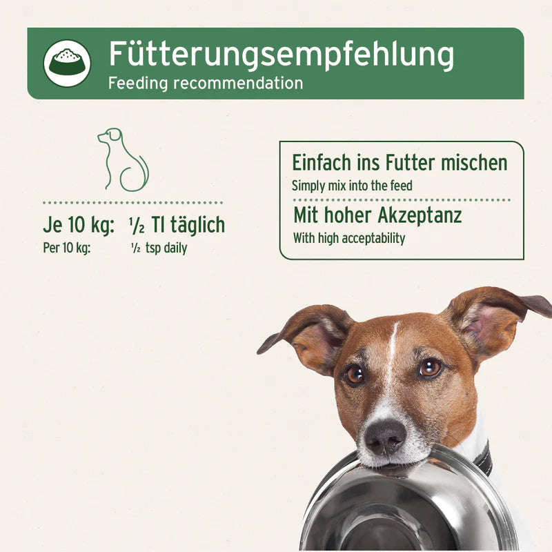 AniForte® Premium Futteröl – Omega-3 & 6 BARF-Öl für große Hunde | in 3 Größen erhältlich