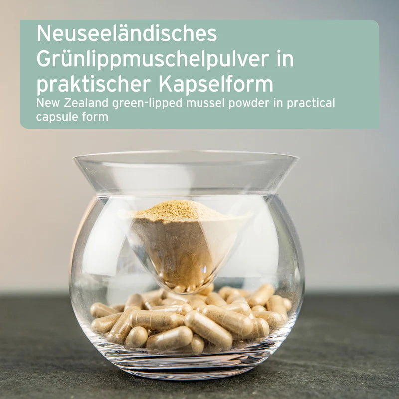AniForte® Grünlippmuschel Kapseln für Hunde – Natürliche Gelenkunterstützung (100 / 300 Stk.)