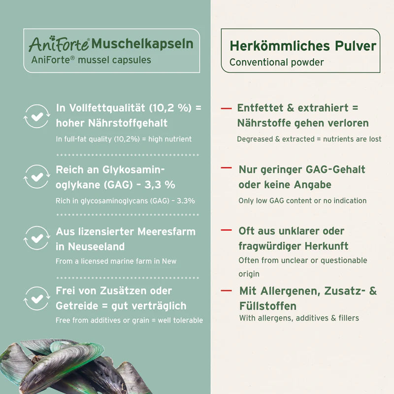 AniForte® Grünlippmuschel Kapseln für Hunde – Natürliche Gelenkunterstützung (100 / 300 Stk.)