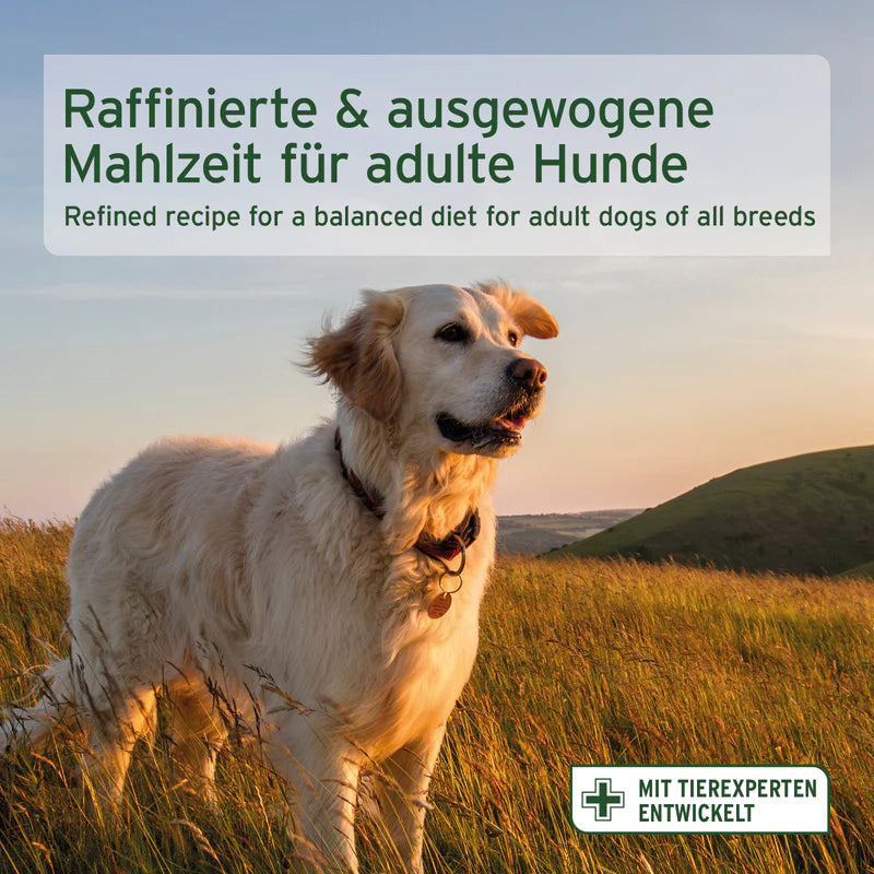 AniForte® Trockenfutter „LandChicken – Zartes Huhn mit Reis“ für große Hunde (2 kg / 12,5 kg)