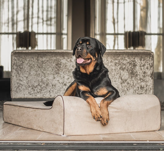 Original Bully Bed Orthopädisches Hundebett – 3 Farben & 3 Größen | L, XL & XXL für große Hunde