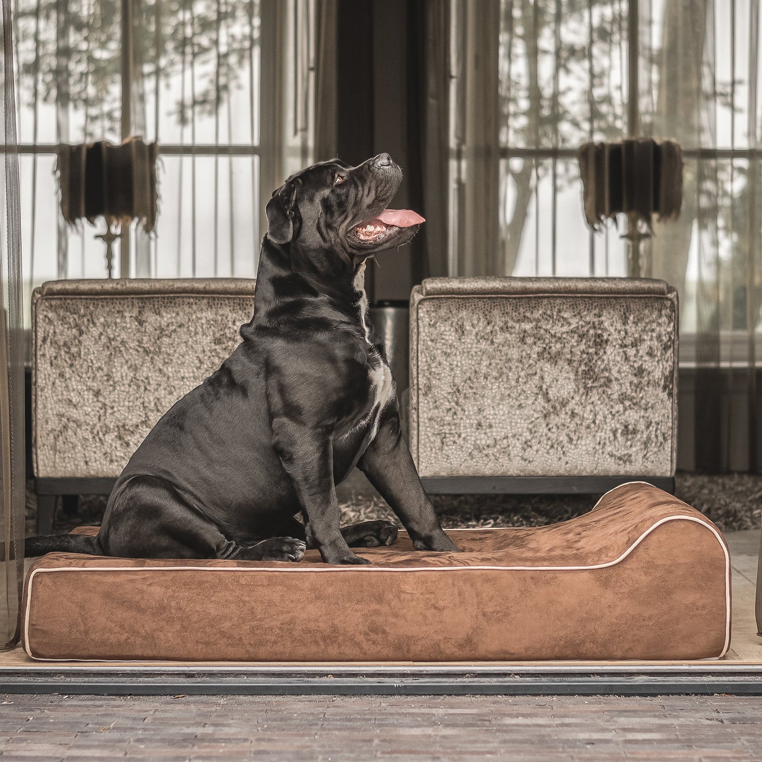 Hundebetten, Körbchen & Bezüge
