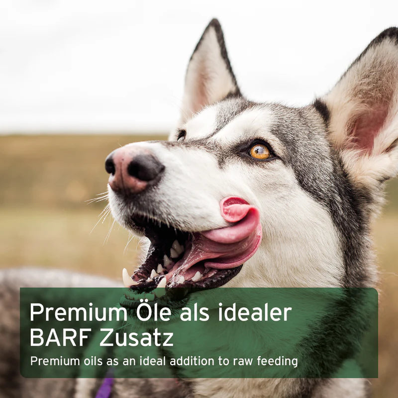 AniForte® Premium Futteröl – Omega-3 & 6 BARF-Öl für große Hunde | in 3 Größen erhältlich
