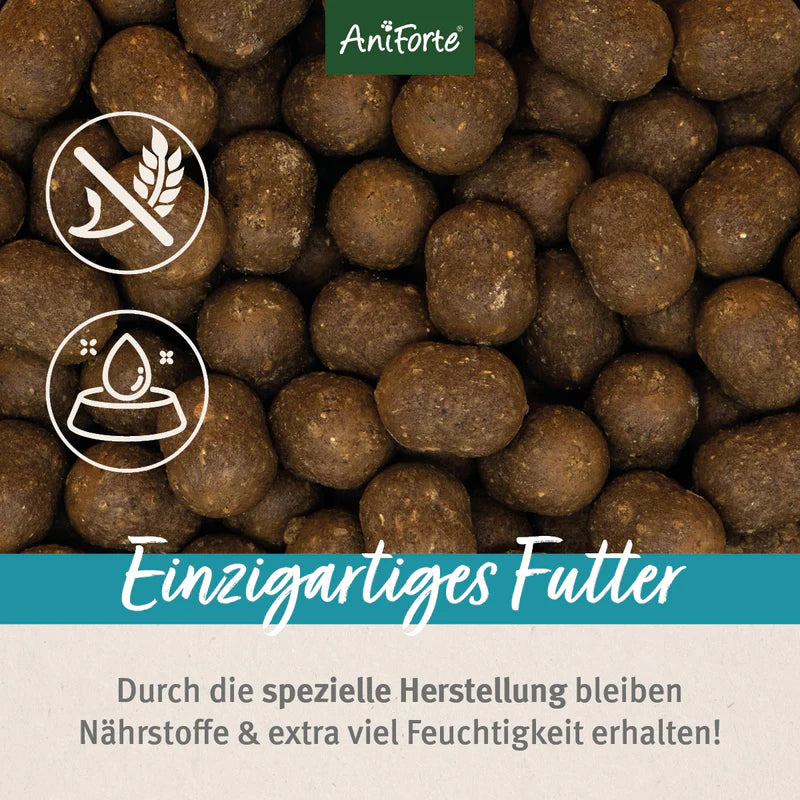 AniForte® Trockenfutter „FjordSalmon – Frischer Lachs mit Kartoffeln“ für große Hunde (2 kg / 12,5 kg)