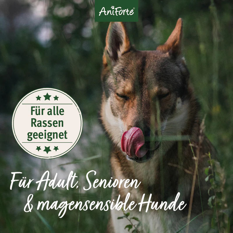 AniForte® Trockenfutter „FjordSalmon – Frischer Lachs mit Kartoffeln“ für große Hunde (2 kg / 12,5 kg)