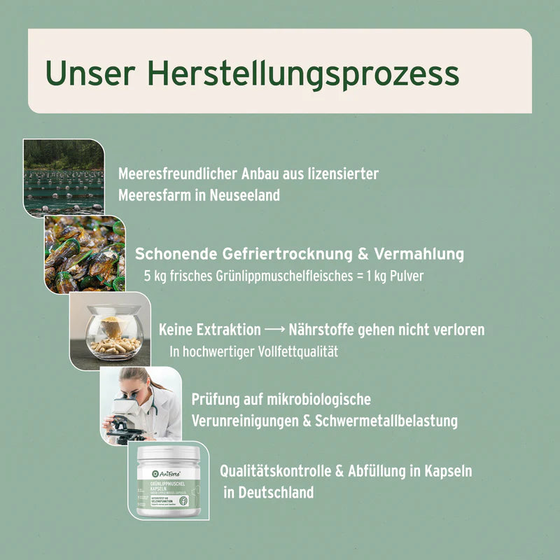 AniForte® Grünlippmuschel Kapseln für Hunde – Natürliche Gelenkunterstützung (100 / 300 Stk.)