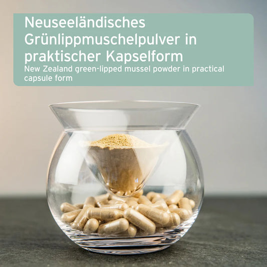 AniForte® Grünlippmuschel Kapseln für Hunde – Natürliche Gelenkunterstützung (100 / 300 Stk.)